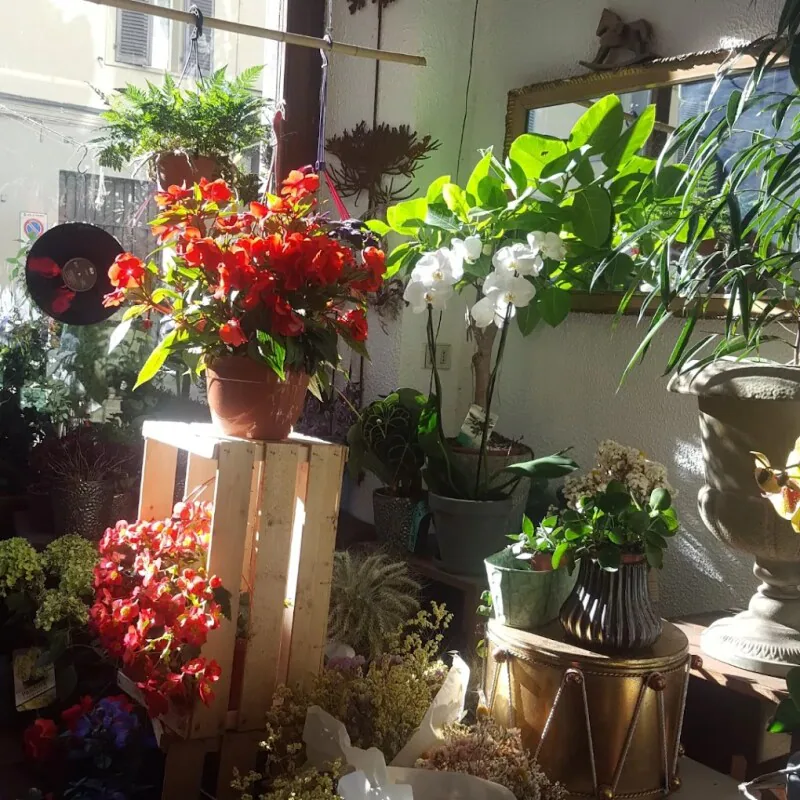 Images Flower Power Fioraio