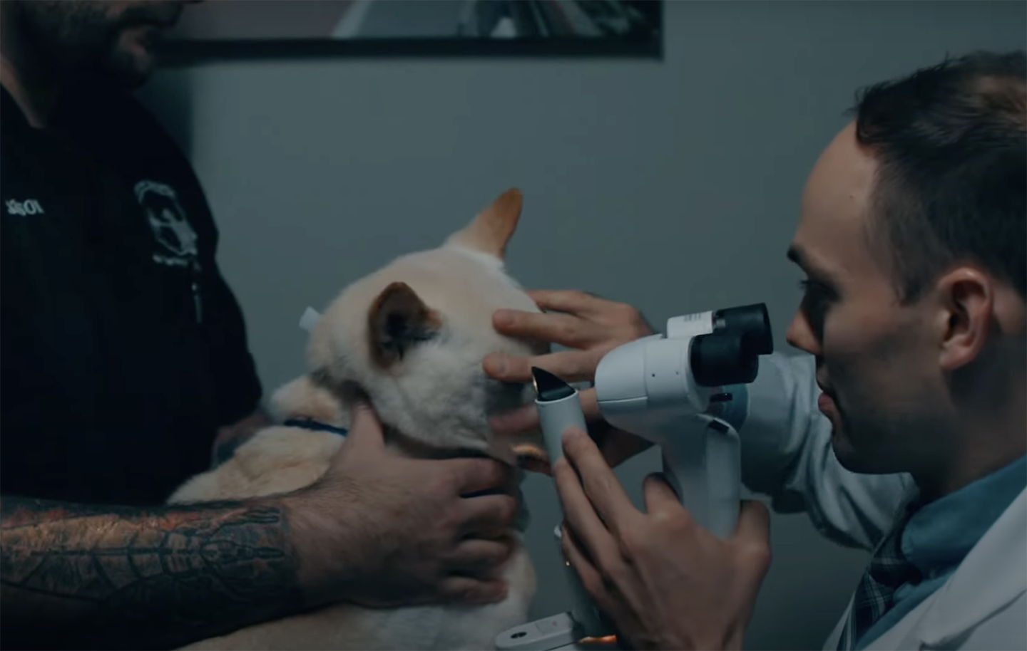 Central Hospital has a board certified ophthalmologist. Some eye conditions can often be managed by your pet’s primary care veterinarian. However, many eye diseases require the attention of an ophthalmologist for advanced medical and surgical treatment.