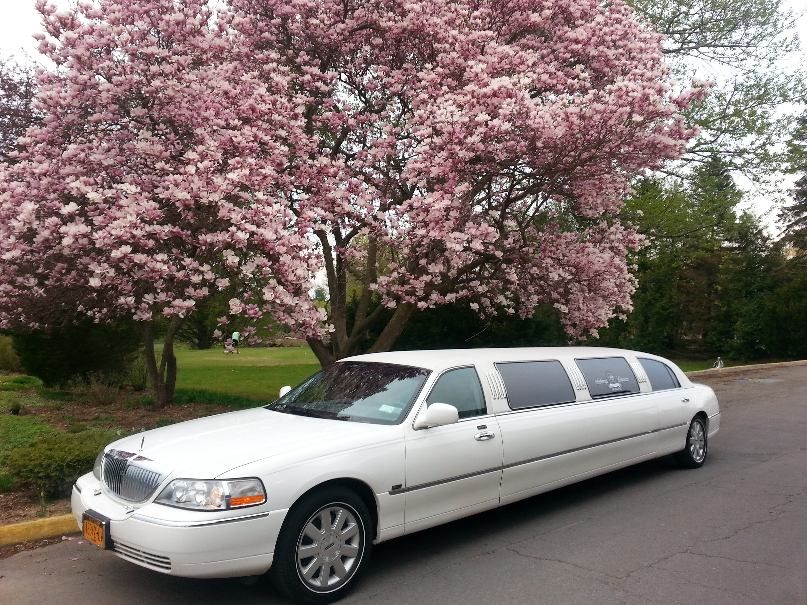 Coupon limousine roma
