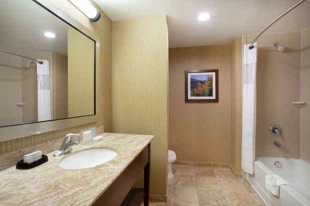 Images Hampton Inn & Suites Denver/South-RidgeGate