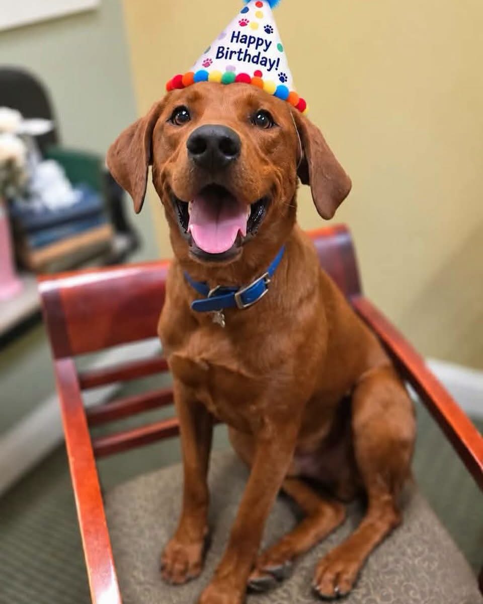 Happy Birthday, Adobe!