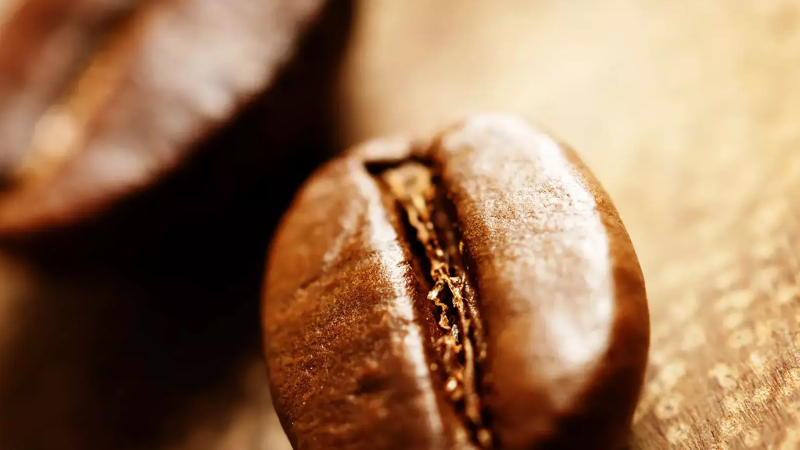 Bilder Kaffeezentrale Schweiz