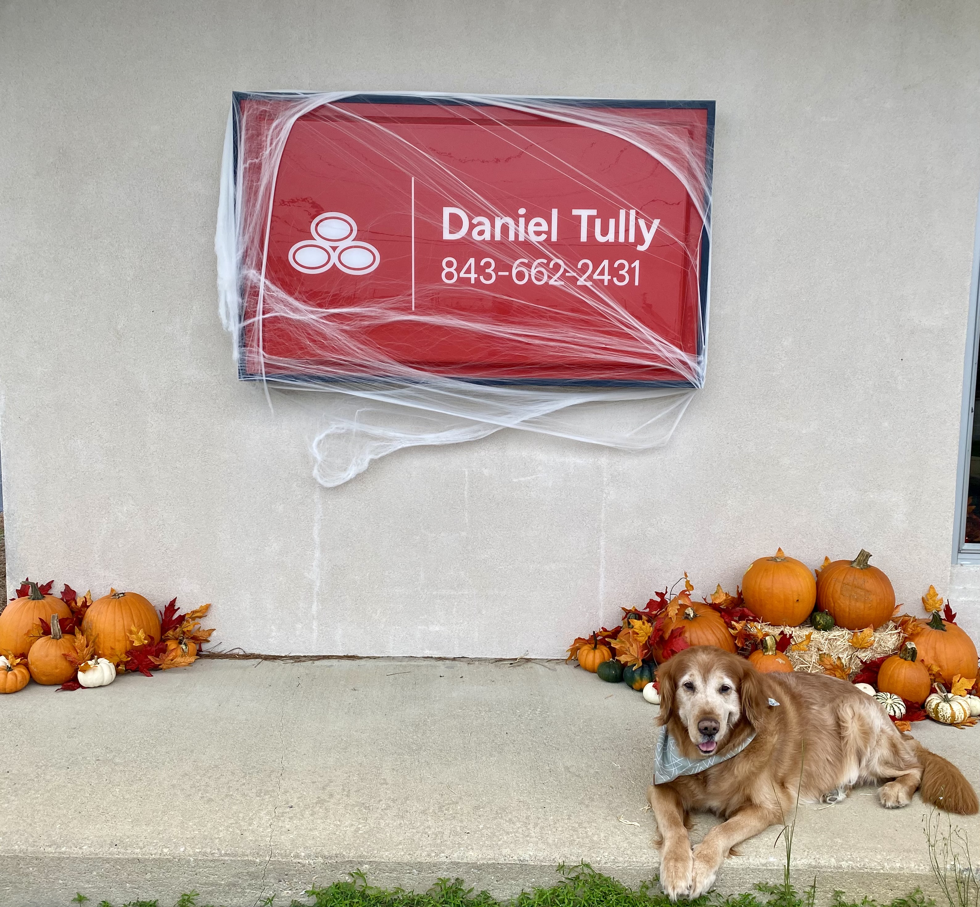 Our office is dressed up for the season, and we have a furry friend helping us welcome visitors!