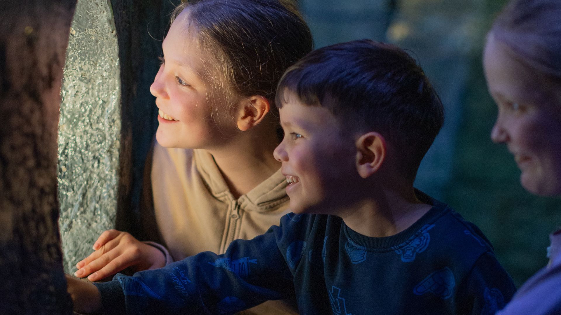 Kundenbild groß 8 SEA LIFE München