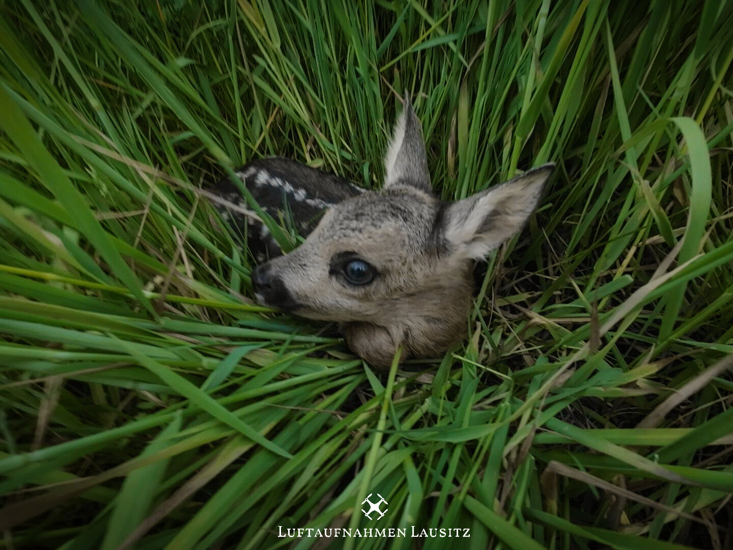 Luftaufnahmen Lausitz, Dresdener Straße 35 in Luckau