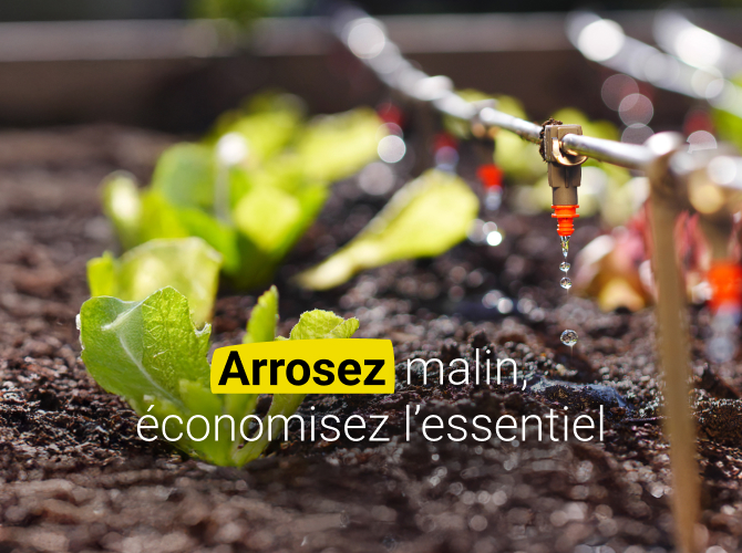 Solutions d’arrosage raisonné et économie d’eau