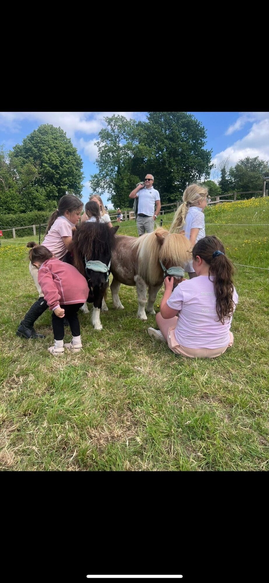 Images Kent Equine Therapy Ponies