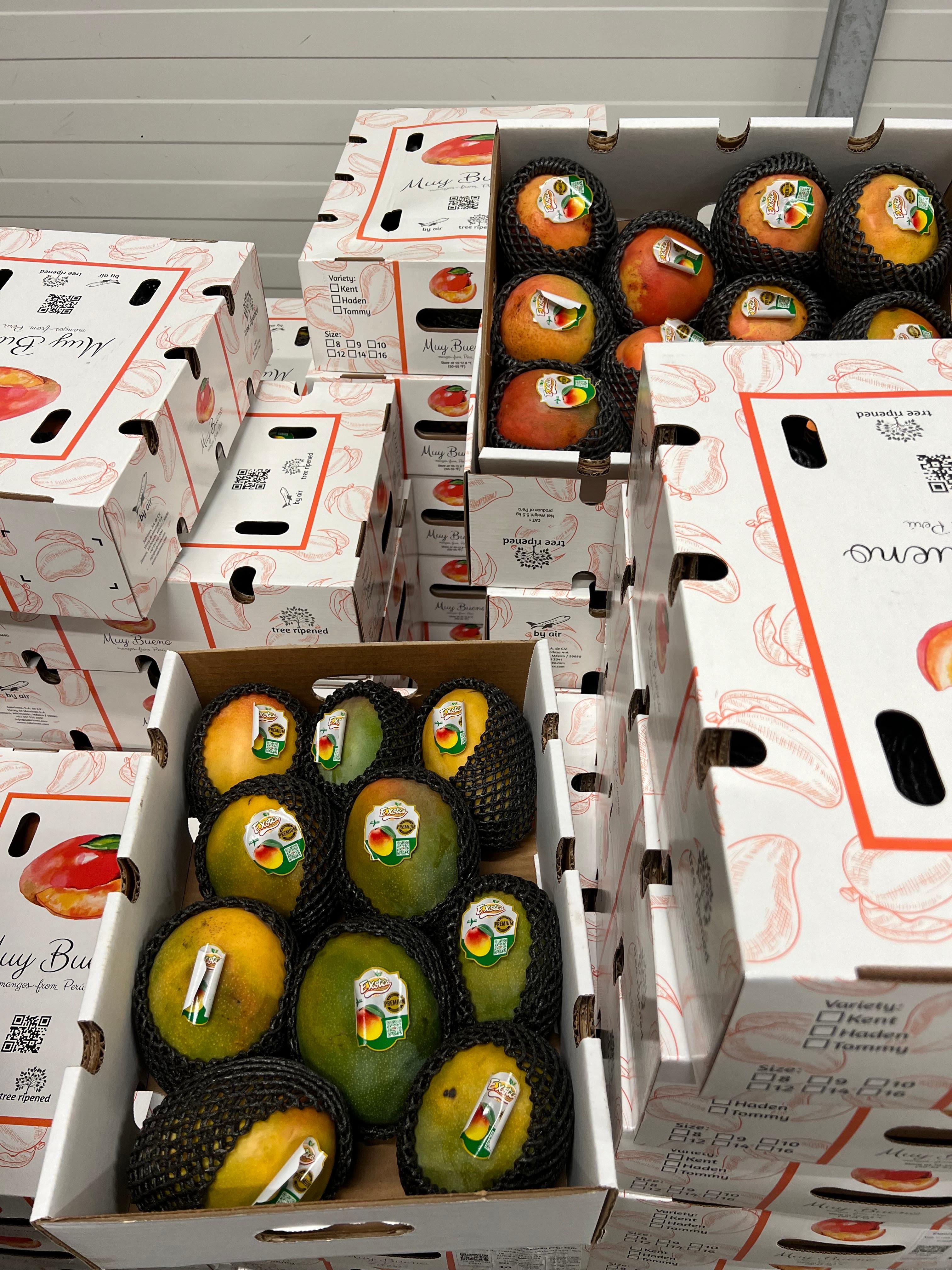 Better&Fresh Foodservice GmbH, Hertzstraße 4c in Rheinstetten