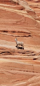 Images Adventure Tours of Kanab
