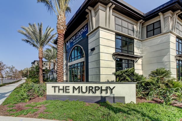 Images The Murphy Irvine