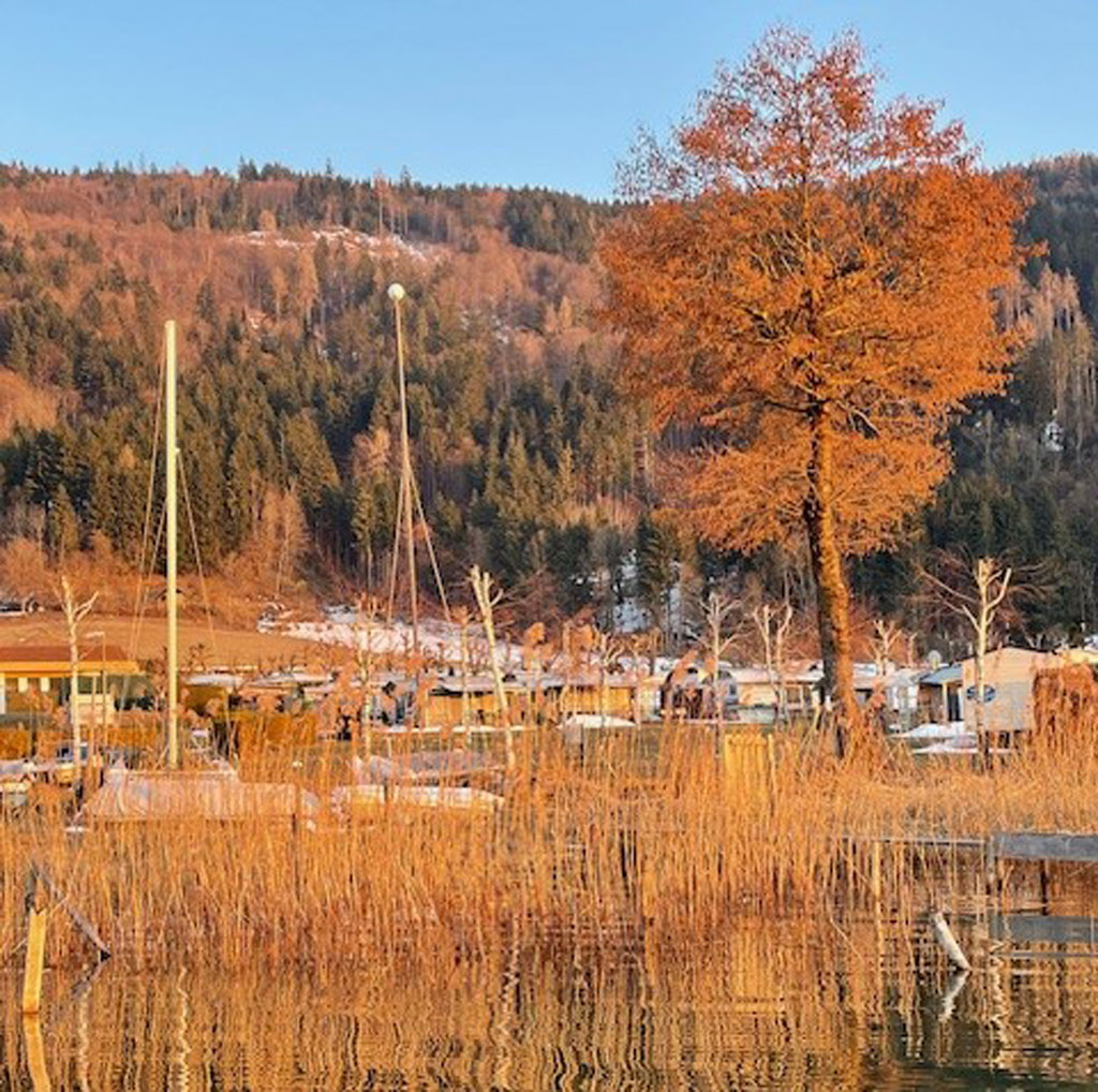 Bild 13 von Terrassen Camping Ossiach
