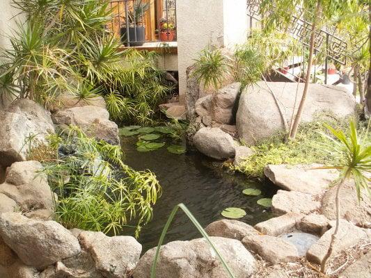 Images 5 Elements Fire & Waterscapes Inc