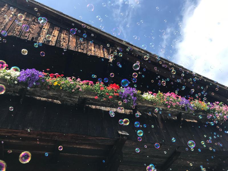 Images Agenzia CORI Immobiliare