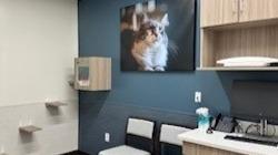 Image 8 | VCA Brookline Animal Hospital