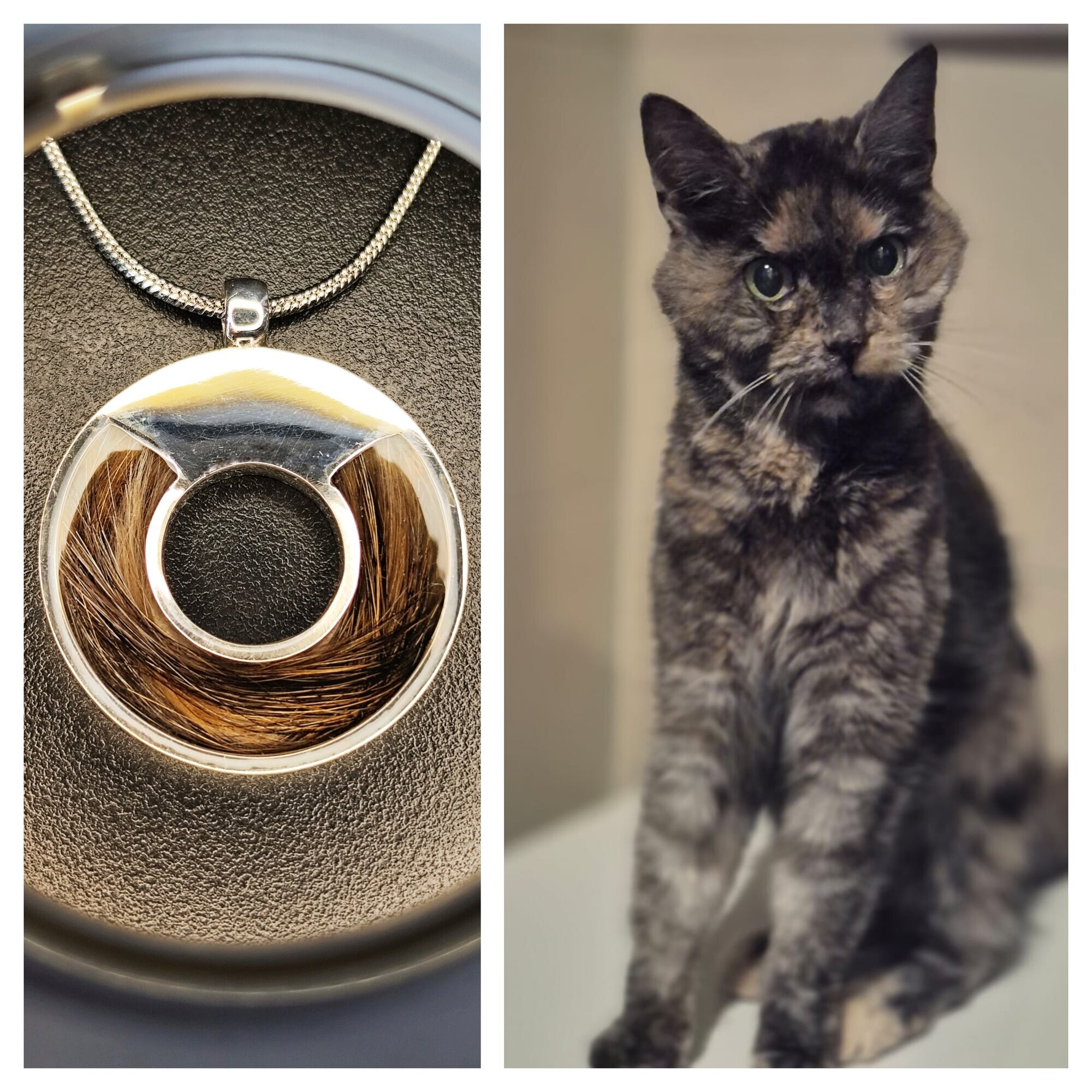 Bilder FlechtArt.Ruhr - Schmuck aus Pferdehaar