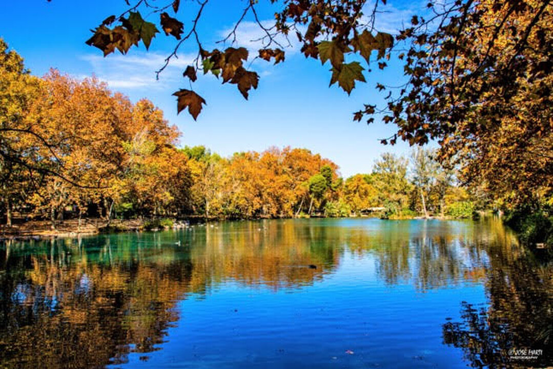 Images CASA Y CABAÑA DEL LAGO