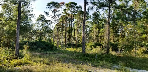 Images Ordonez Realty , LLC