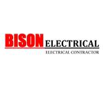 Bison Electrical Services Logo