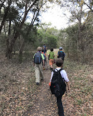 Natureversity Outdoor School Image