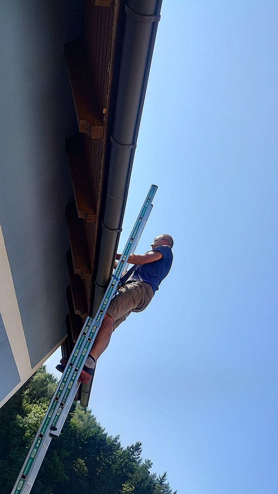 Bild 3 von PV-Montage,Kleinbaggerarbeiten,Objektbetreuung Manuel Scholze-Simmel