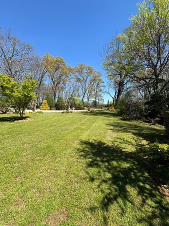 Images Beltran's Lawn Care, LLC