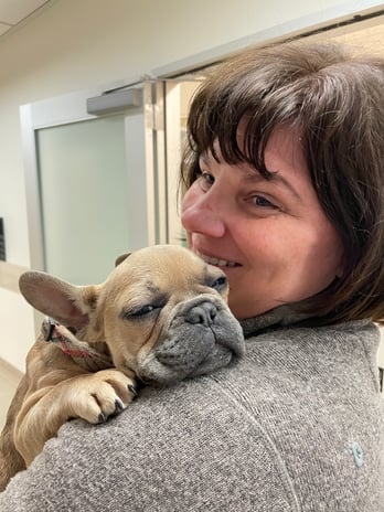 Images VCA West Los Angeles Animal Hospital