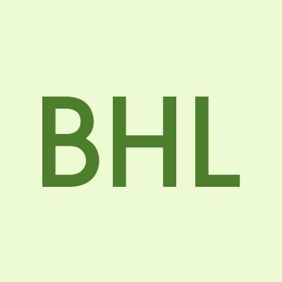 B & H Lighting Logo