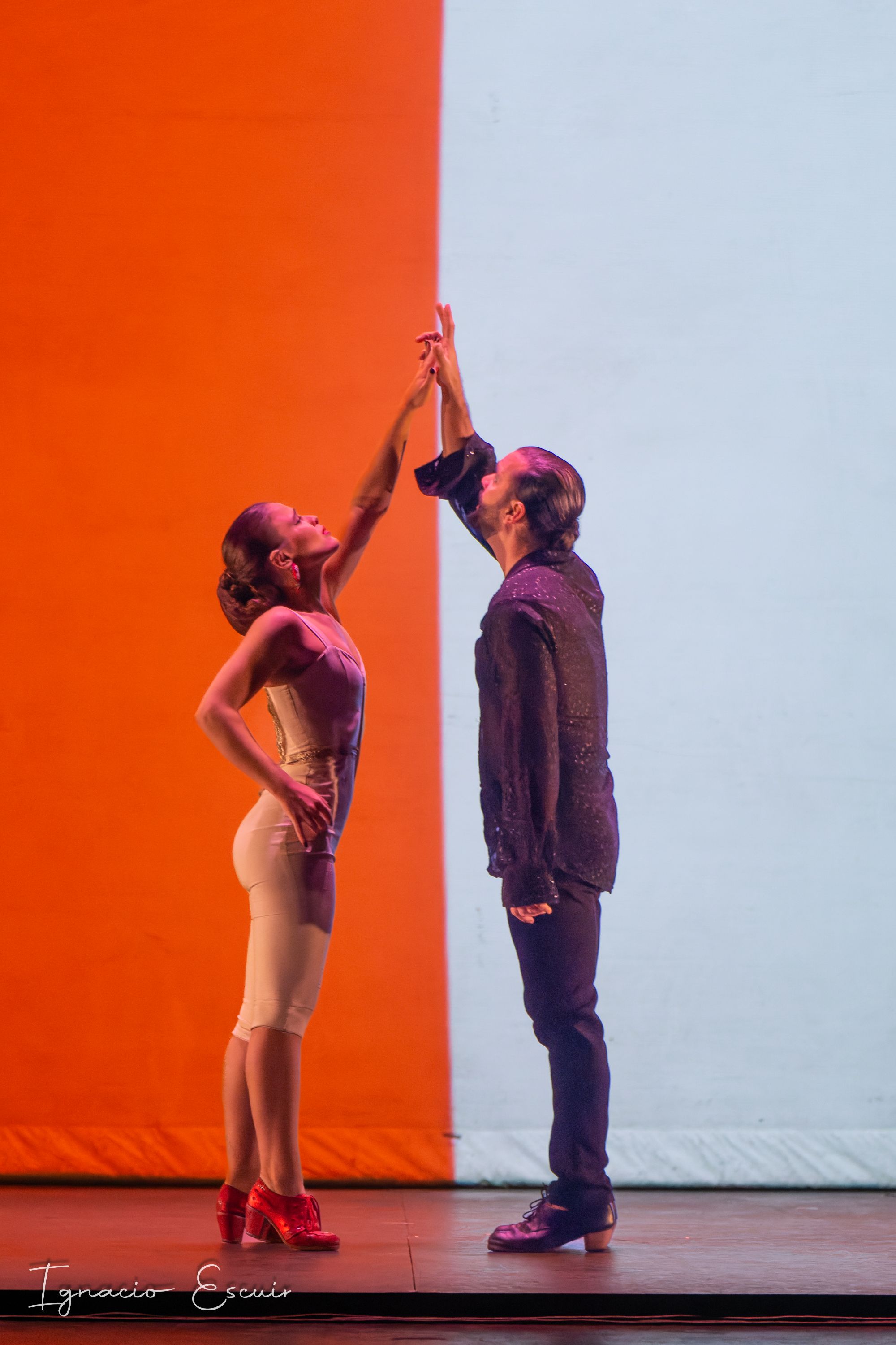 Images Venta de Vargas Musical Flamenco