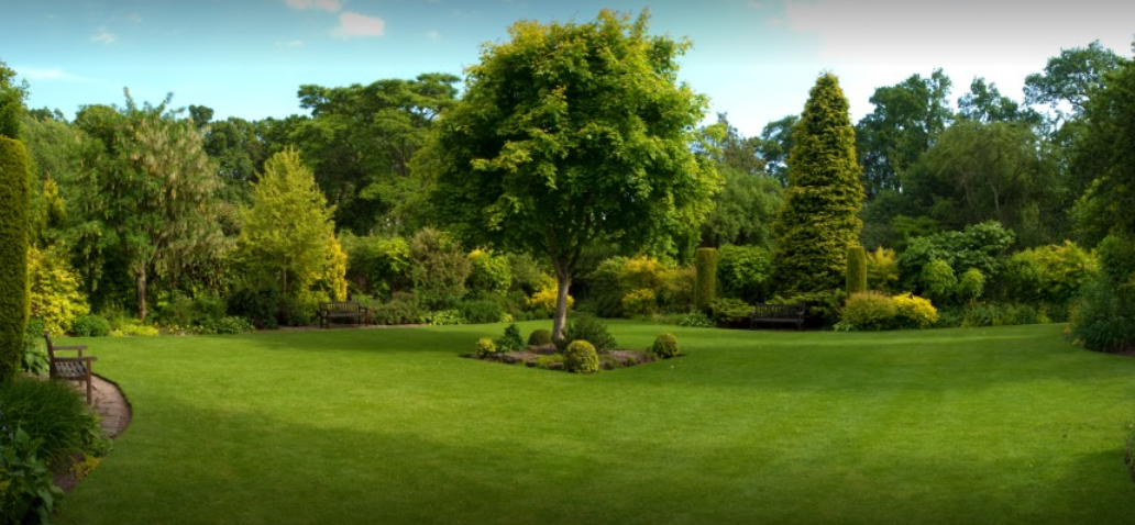 Mcclarin Tree Services & Landscape