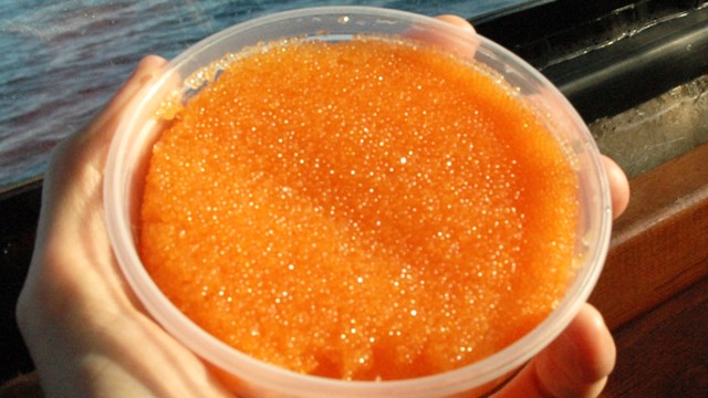 Images Guldhaven Pelagiska AB