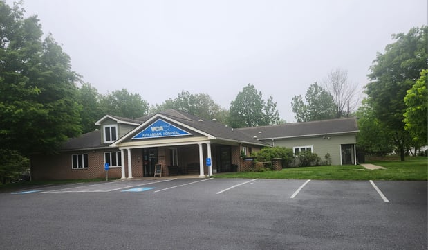 Images VCA AVH Animal Hospital