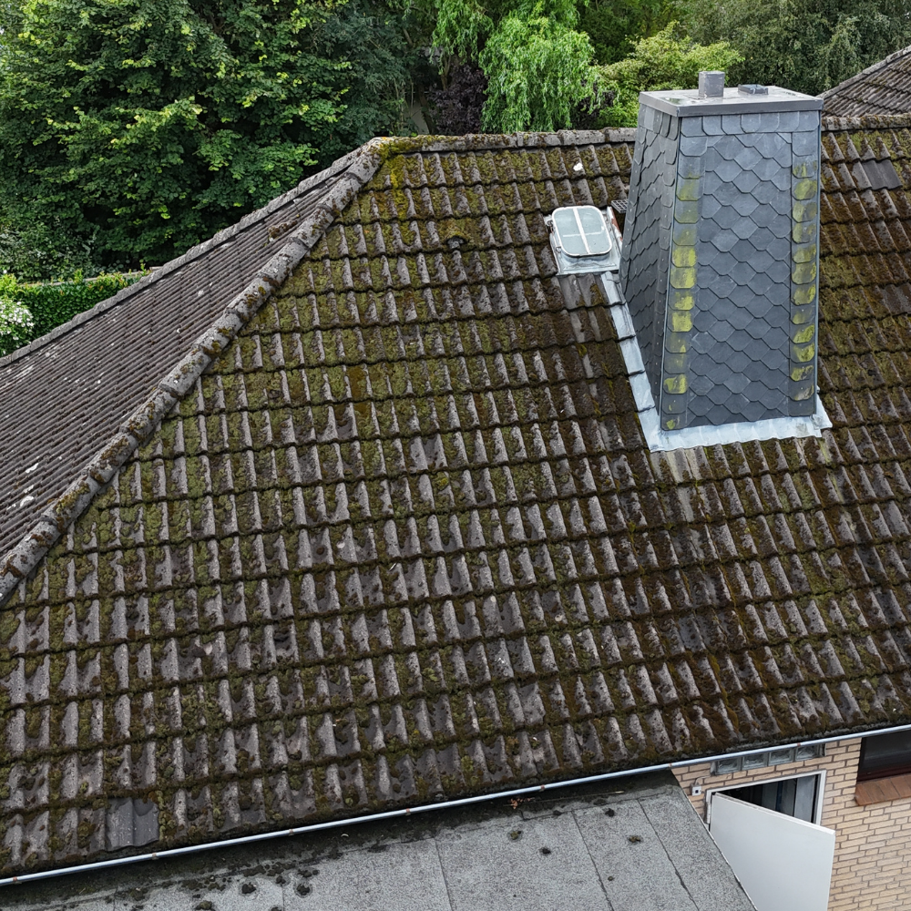 DW Reinigungsdienst | Dachreinigung, Dachbeschichtung & Fassadenreinigung Bremen, Marcusallee 16 in Bremen