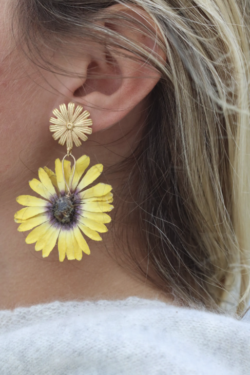 Images Hillary Jackson Designs