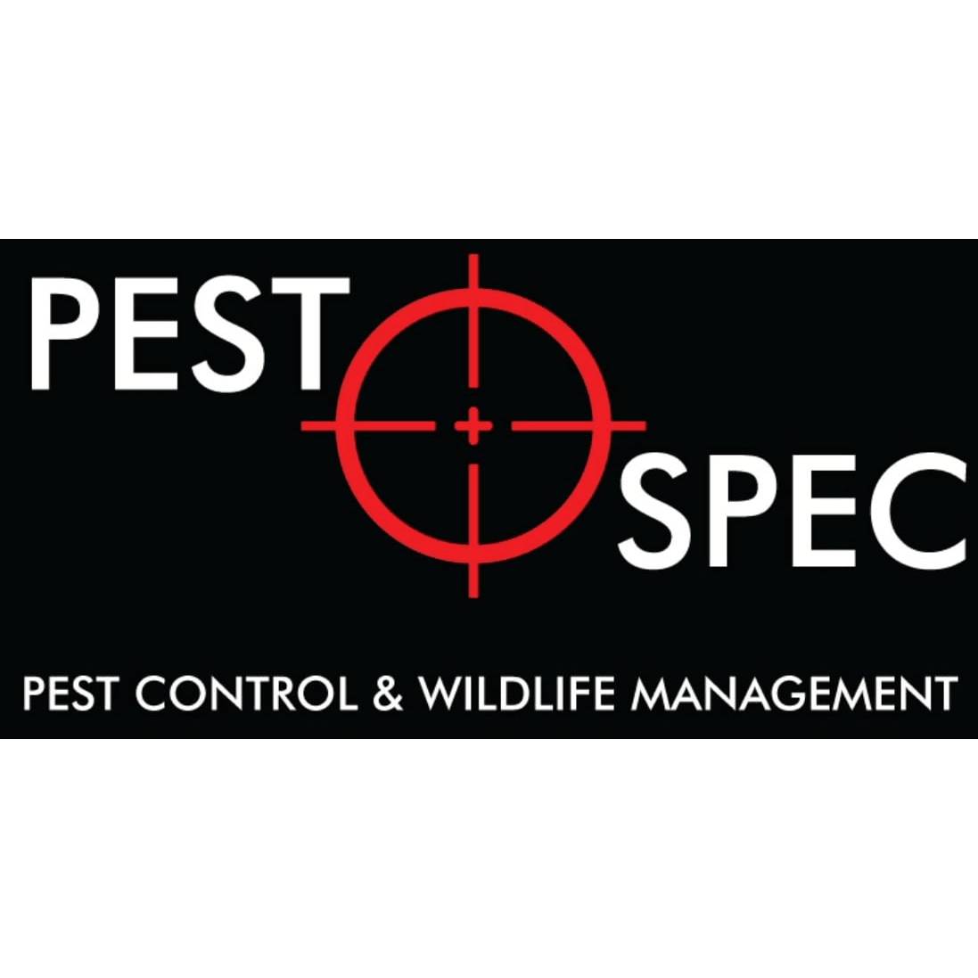 LOGO Pest-Spec Ltd Melksham 07595 461090