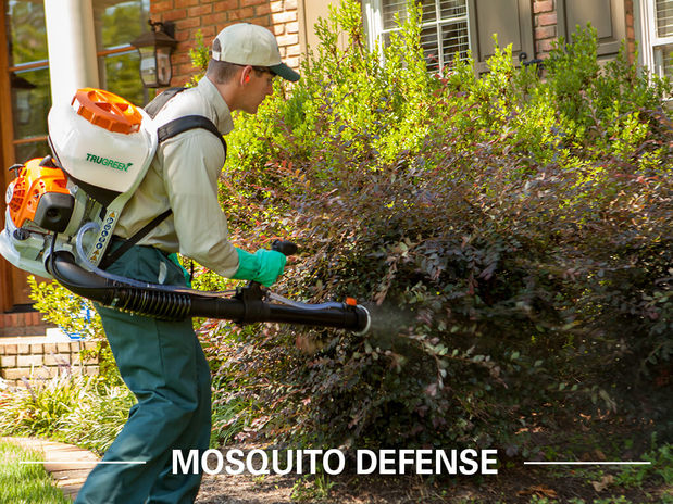 Images TruGreen Lawn Care