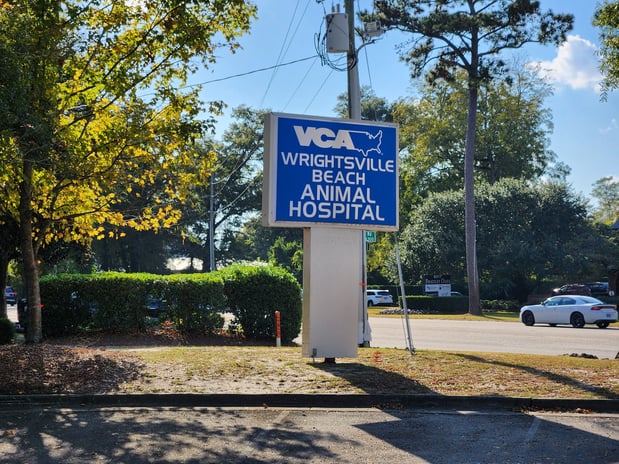 Images VCA Wrightsville Beach Animal Hospital