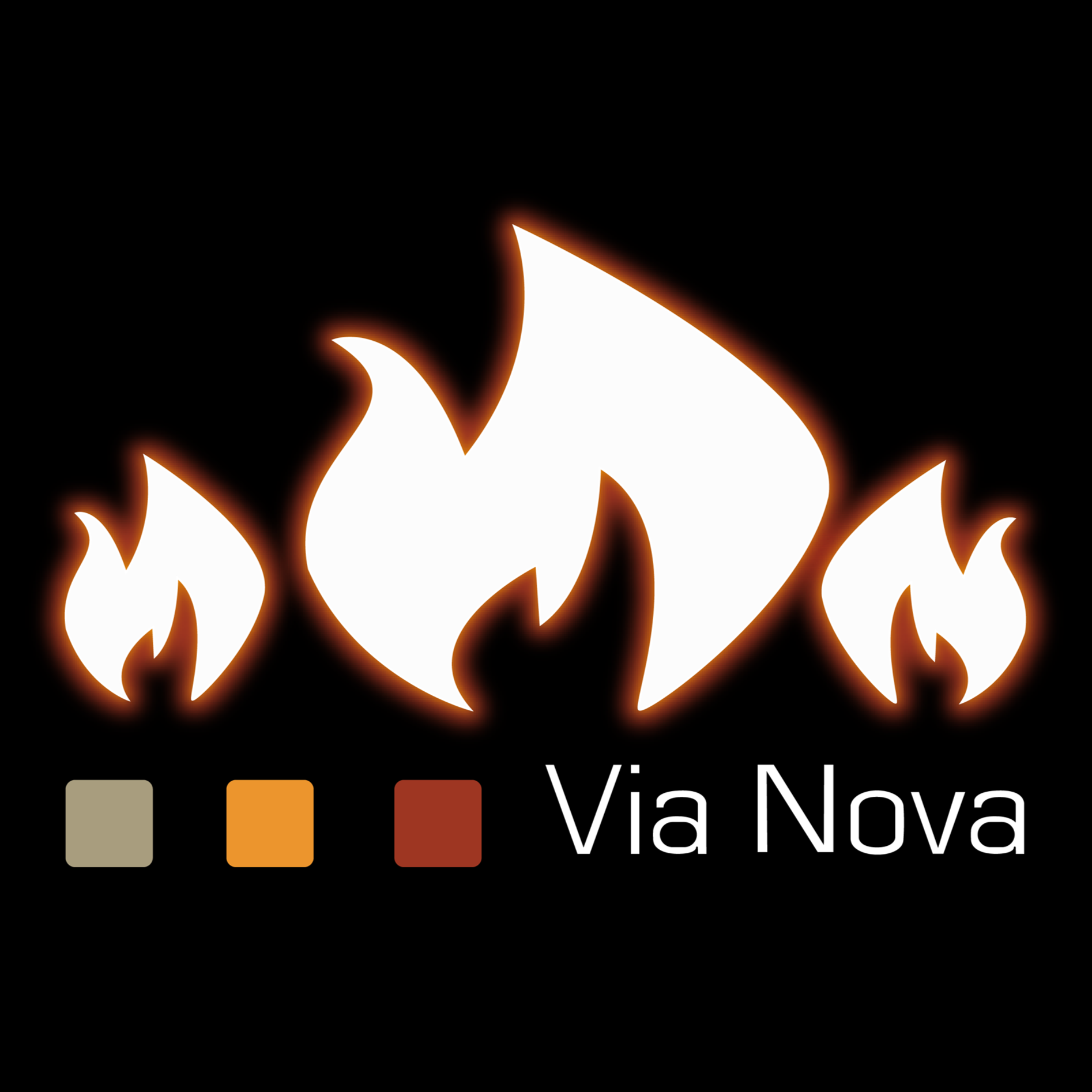 Logo Via Nova GastGenuss GmbH