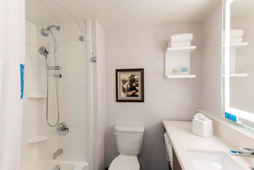 Guest room bath Hampton Inn Holland Holland (616)399-8500