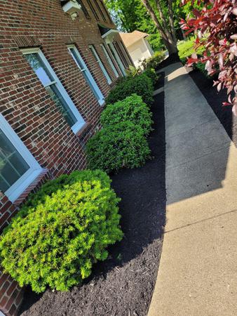 Images Battles Landscaping & Lawn Service