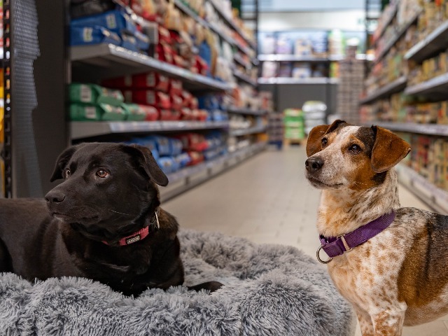 Fressnapf Hamburg-Osdorf, Osdorfer Landstraße 393 in Hamburg-Osdorf