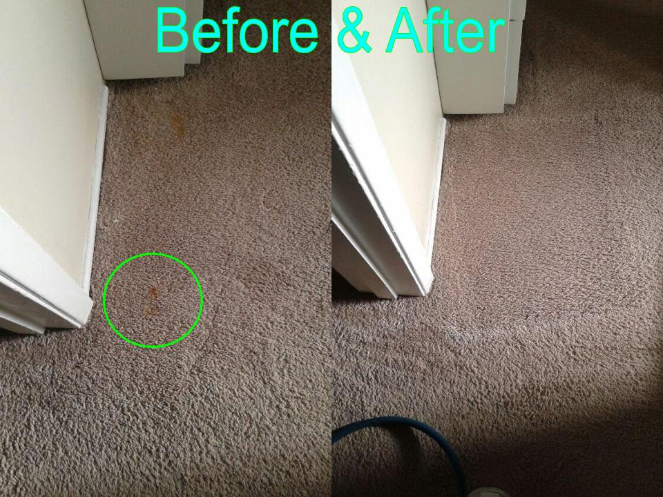 Able Body Carpet & Restoration Photo