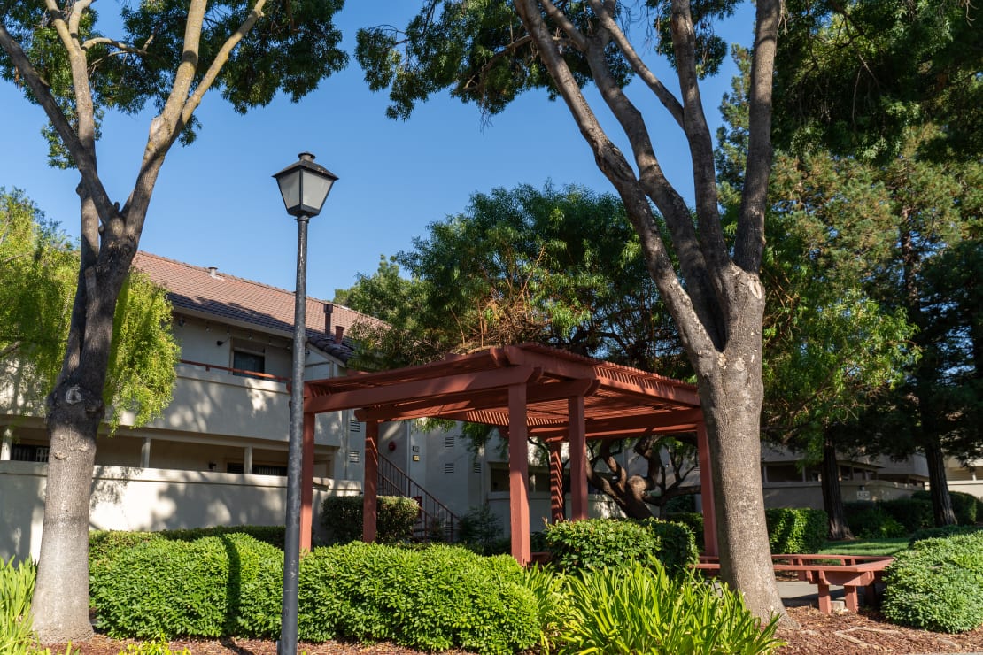 Wooden Pergola and Courtyard