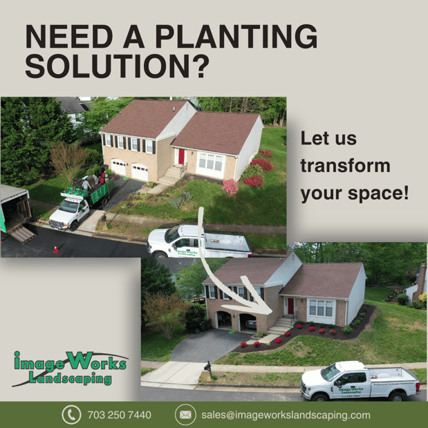 Images Image Works Landscaping