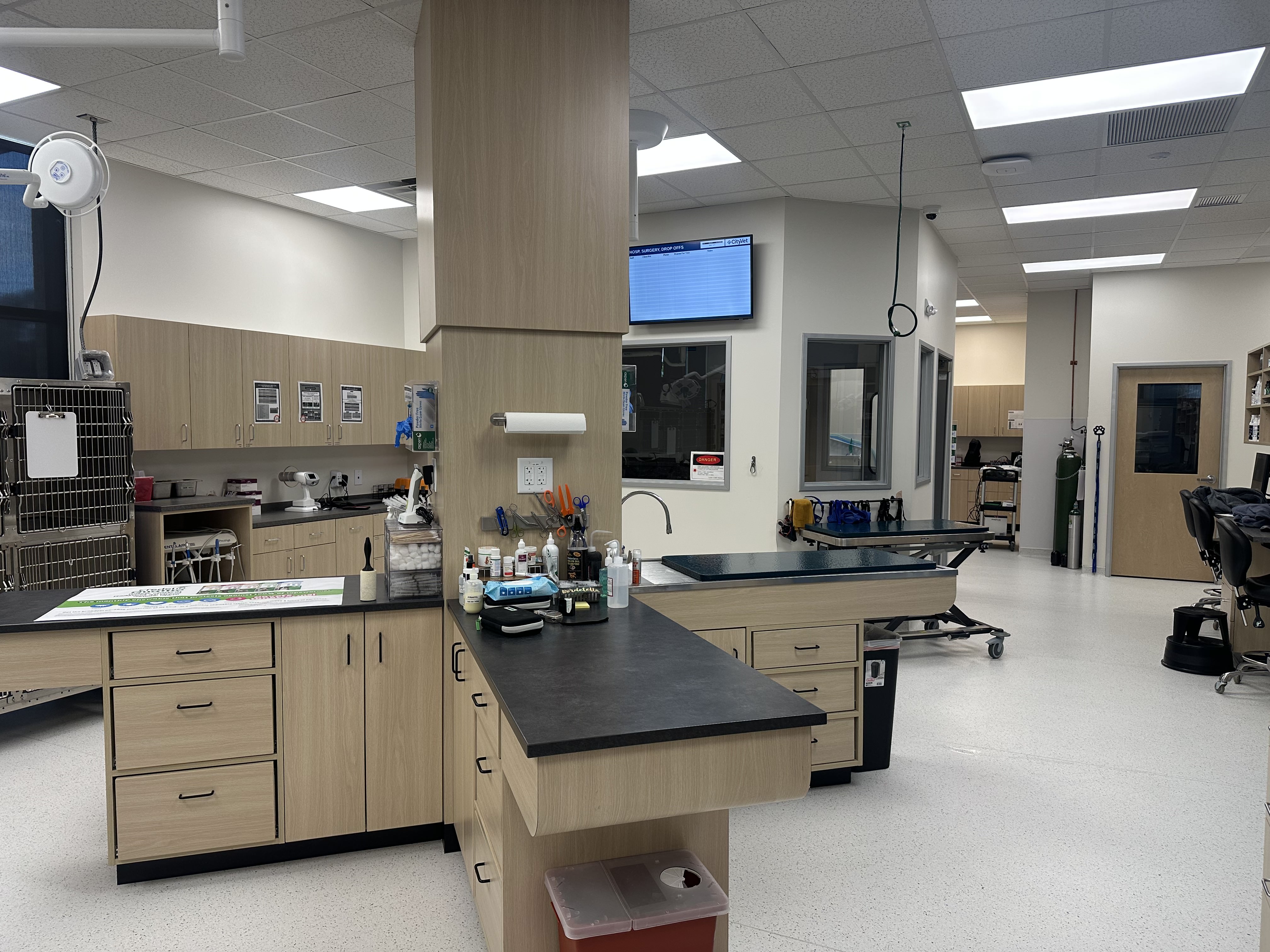CityVet | Northlake exam area