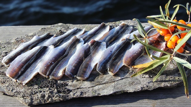 Images Guldhaven Pelagiska AB