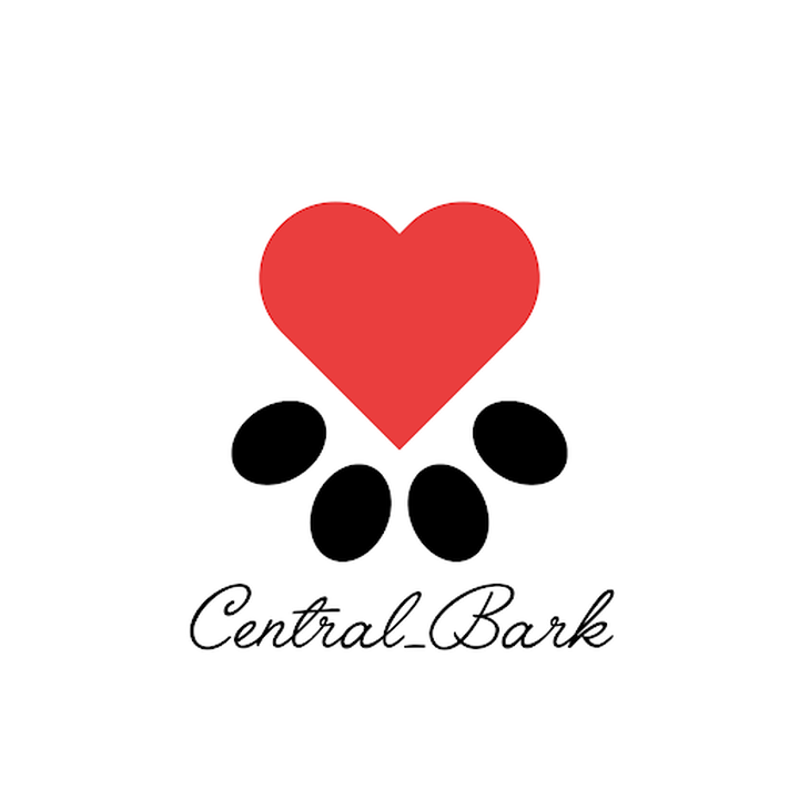 Bild 4 von Central Bark