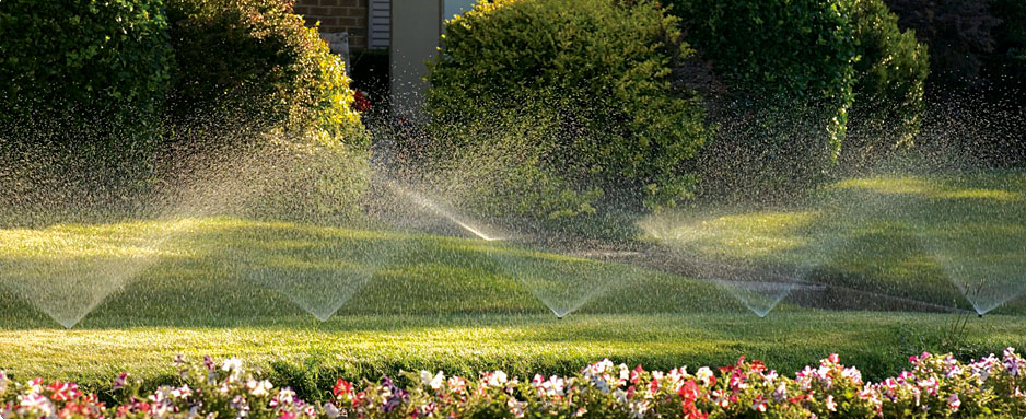 Royal Irrigation Photo