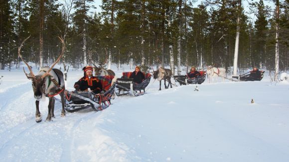 Images Saariselän Porotila / Saariselkä Reindeer Farm