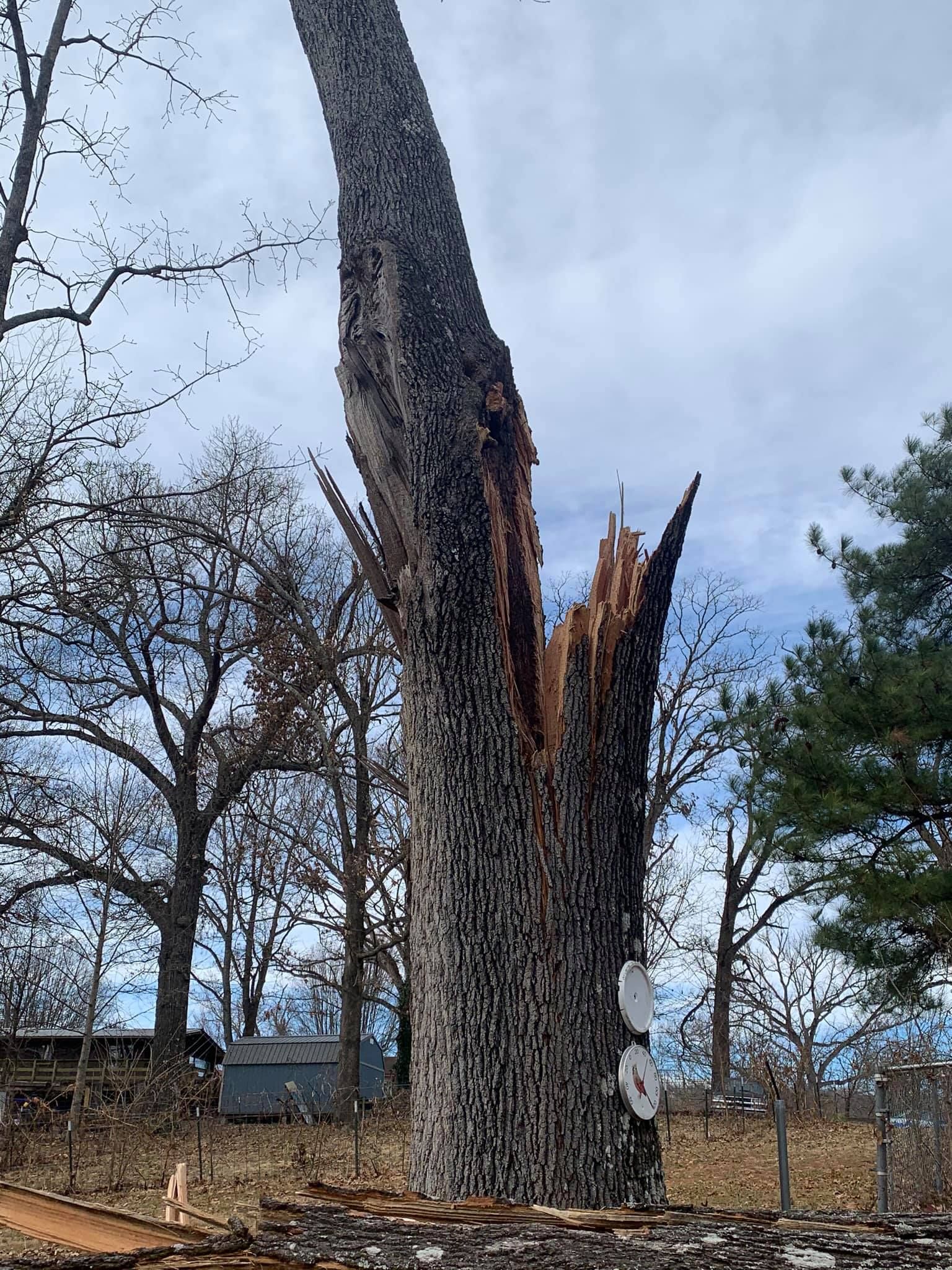 Down Rite Tree Service Image