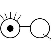 Eye Q Optometrist